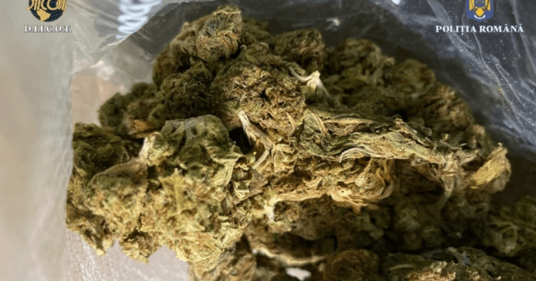 Droguri ascunse in alimente Patru arestati 37 kg capturate