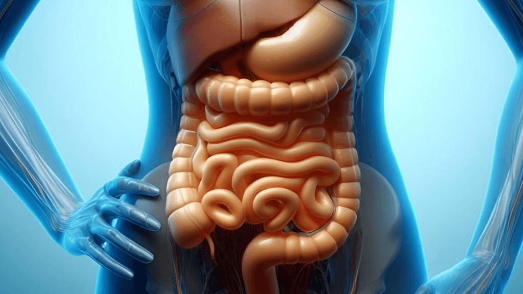 Cele mai bune bauturi pentru sanatatea intestinelor