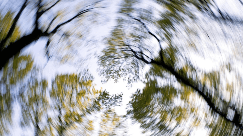 Cesa faciincazdelesin