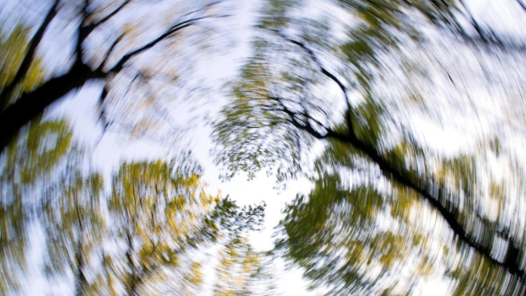 Cesa faciincazdelesin