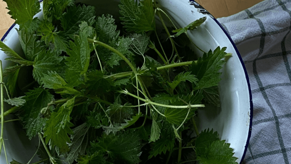 Crema de urzici mancare de primavara plina de vitamine