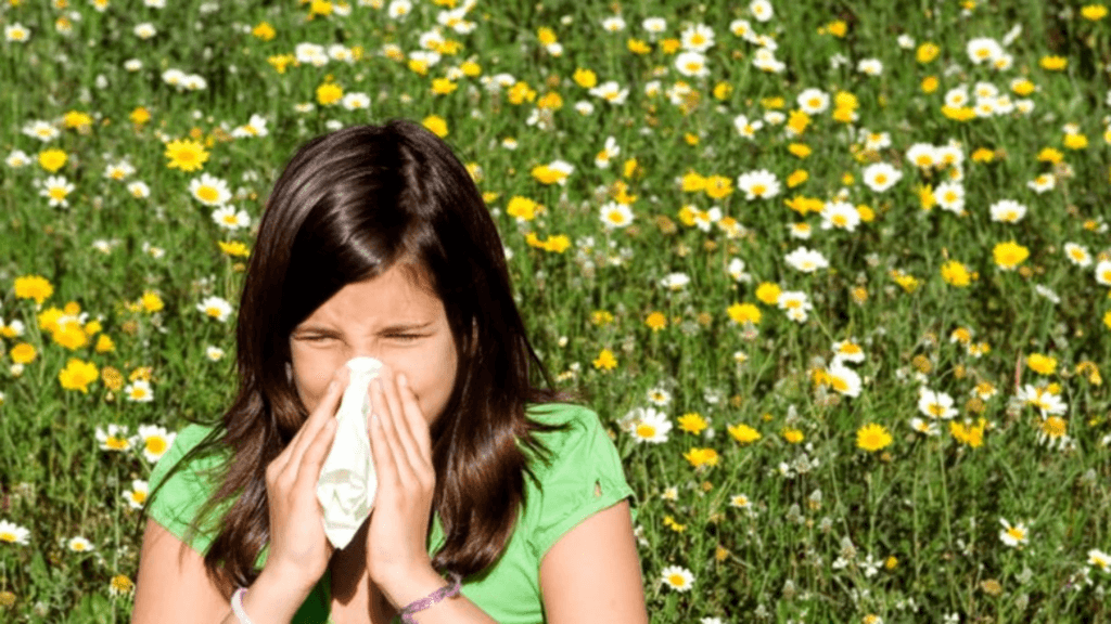 Cum sa combati alergiile de primavara eficient