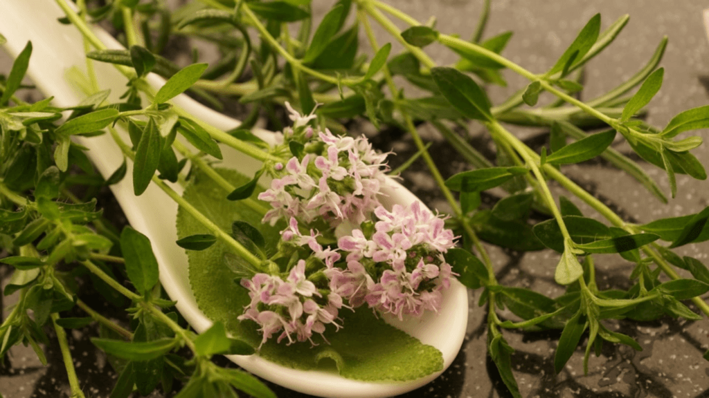 Planta cu cel mai puternic efect antiviral