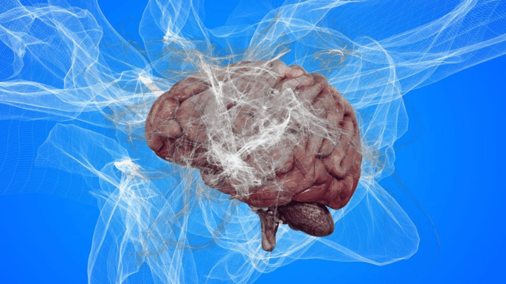 Bautura benefica pentru creier recomandata de Vlad Ciurea