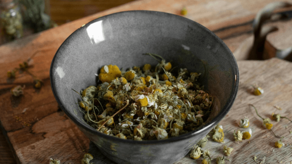 Planta medicinala indispensabila cu eficienta dovedita stiintific