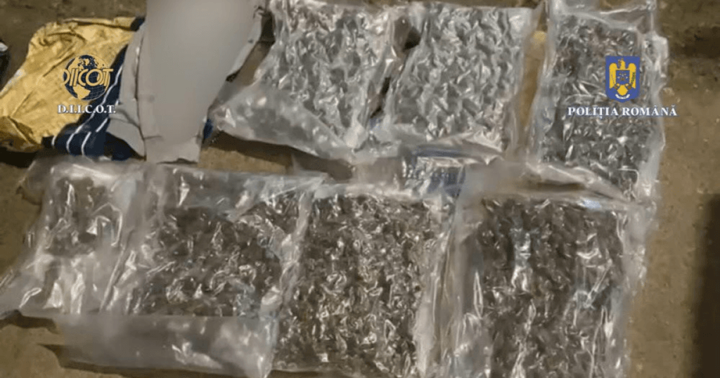 Barbat prins de DIICOT dupa comanda de 6 kg canabis