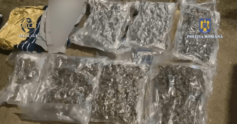 Barbat prins de DIICOT dupa comanda de 6 kg canabis