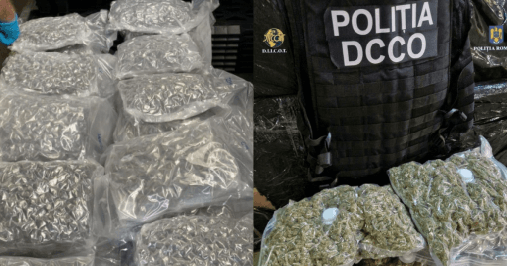 Cinci retinuti si doua sub control judiciar in trafic de substante psihotrope