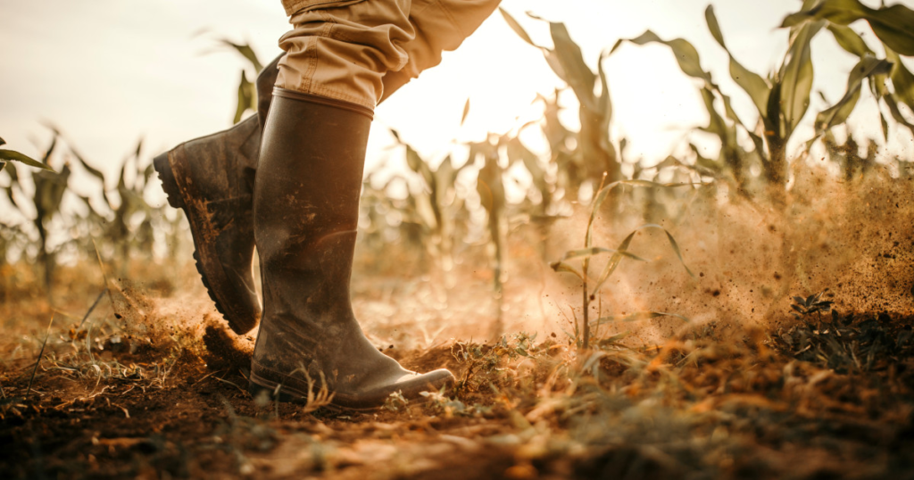 Un fermier din Vrancea a devenit milionar dupa pierderi