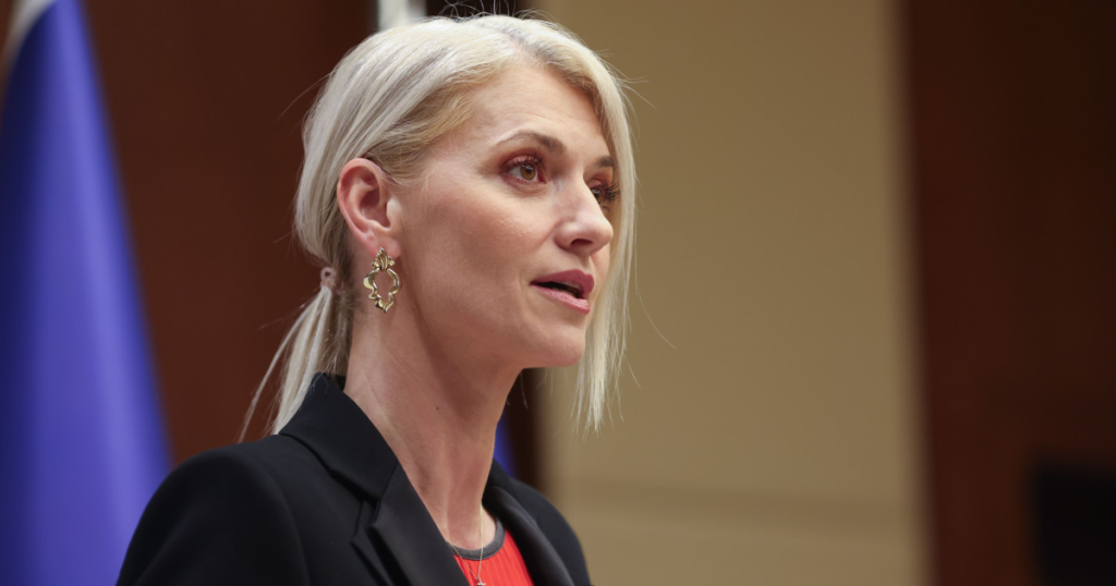 Alina Gorghiu Guvernul sustine legea pedepselor mai mari