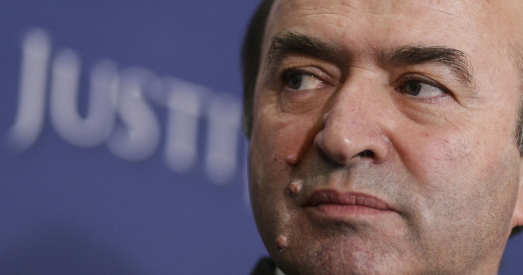 Tudorel Toader Masurile Guvernului pentru pensiile magistratilor vor trece de control