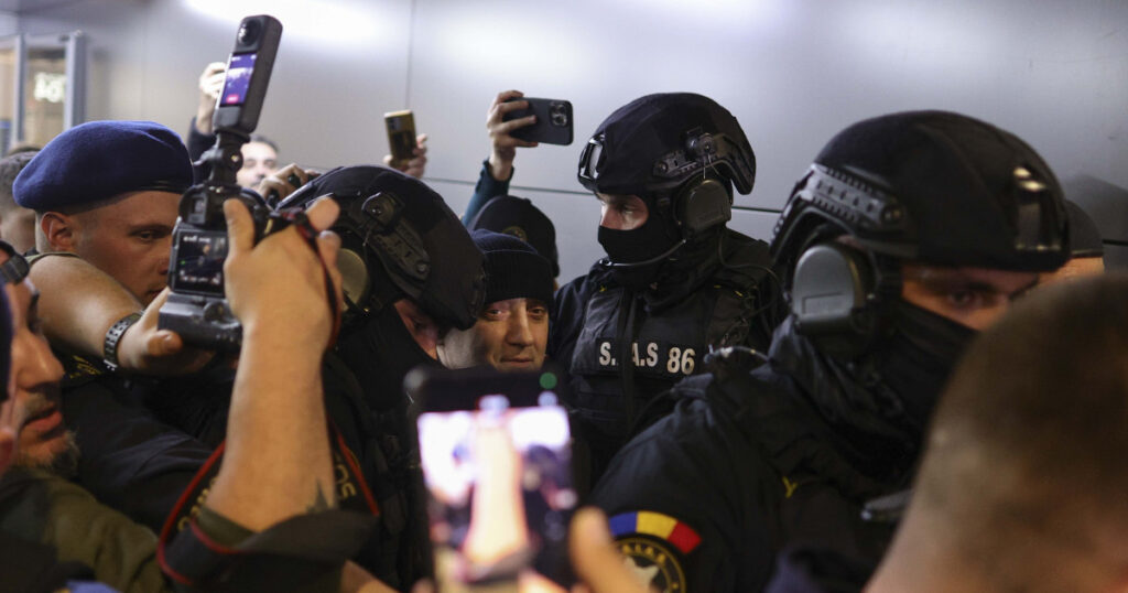 Primele imagini cu Potra adus in catuse in tara