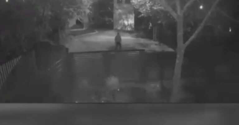 Nereguli grave în dosarul femeii ucise de soț nereguli grave in dosarul femeii ucise de sot 1