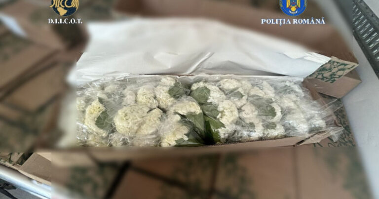 Peste 250 kg de cocaina din Columbia ascunsa in flori