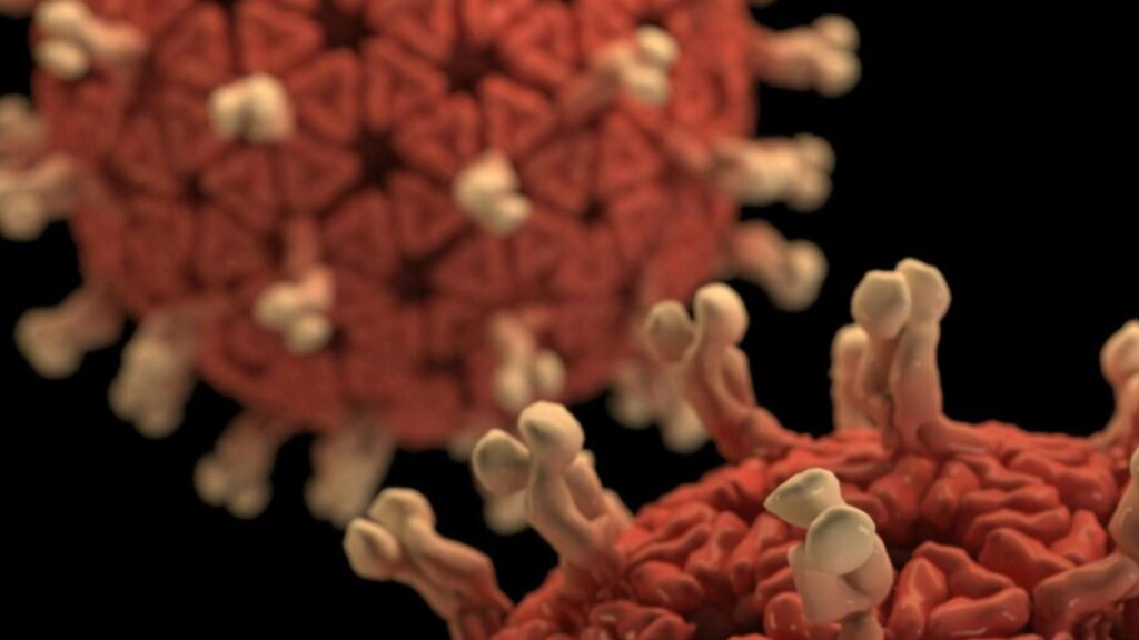 Alerta sanitar n Europa Sezon greu de grip