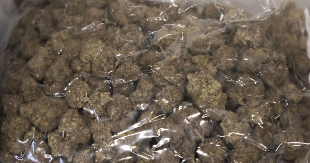 Doi barbati cercetati pentru trafic de droguri cu canabis