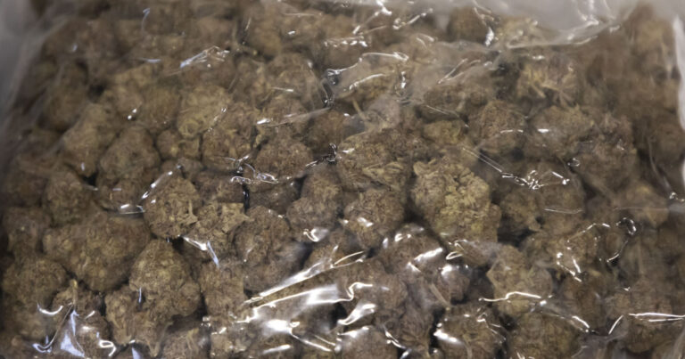 Doi barbati cercetati pentru trafic de droguri cu canabis