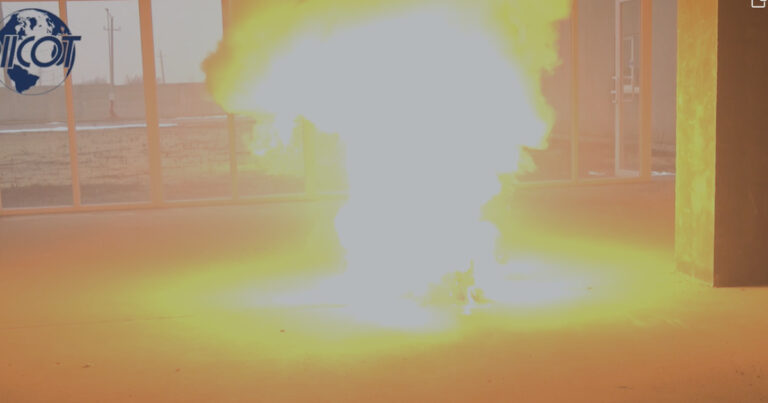 Cei doi ucraineni care intentionau sa detonze sediul unei companii din Bucuresti au fost trimisi in