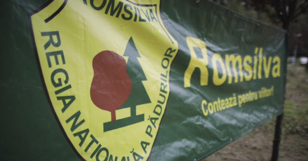 Sindicalistii de la Romsilva solicita instantei suspendarea masurilor de reorganizare a regiei padurilor