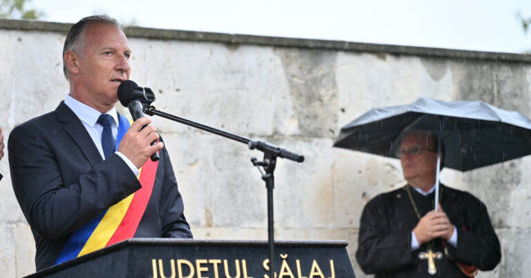 licitatii frauduloase la cj salaj acuzatiile oficiale ale procurorilor dna impotriva lui dinu iancu salajanu si