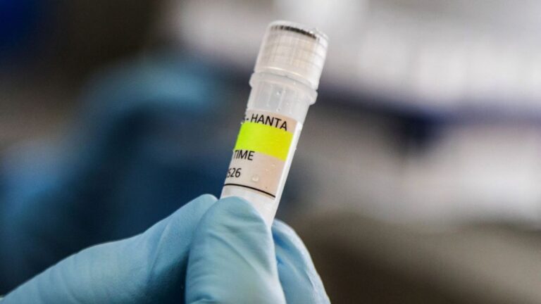 Posibil caz de hantavirus in Spania O femeie a fost izolata in Alicante dupa ce a intrat in contact cu un pacient infectat