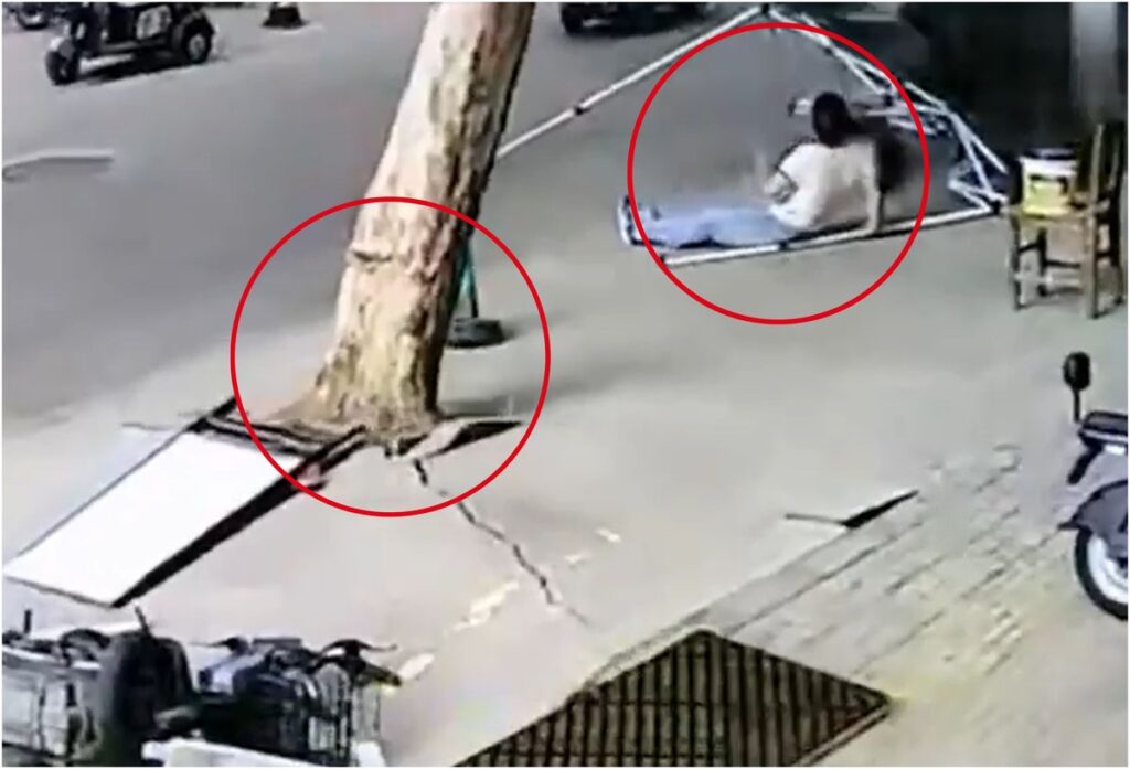 Incident dramatic provocat de furtuna Momentul in care o femeie este suprinsa sub un copac doborat de vant