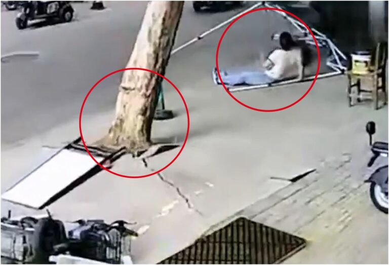 Incident dramatic provocat de furtuna Momentul in care o femeie este suprinsa sub un copac doborat de vant