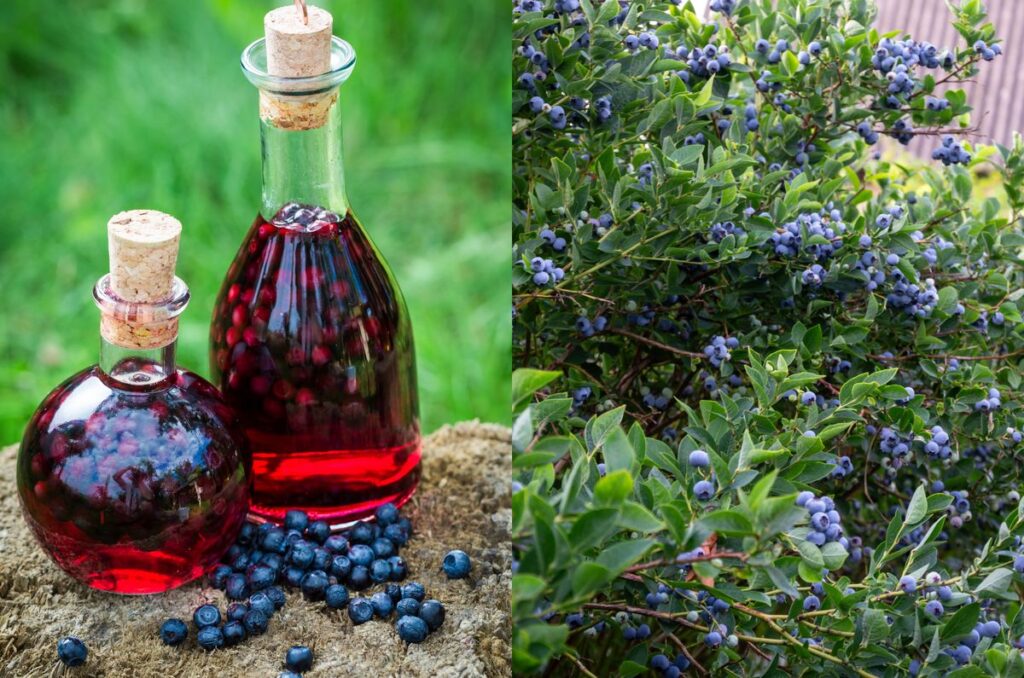 afinata de casa aromatica si clara trucul simplu care face diferenta cat timp trebuie sa stea la macerat