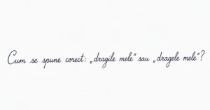 Care e forma corectă: „dragile mele” sau „dragele mele”?