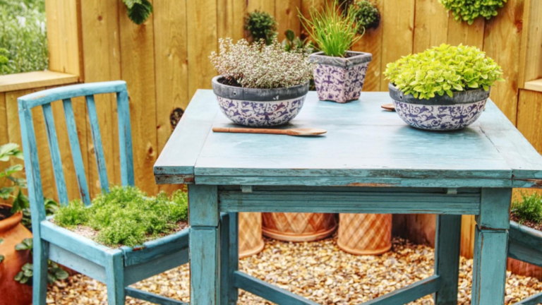 Reguli pentru cei care locuiesc la casa Interzis sa lasi asta in curte