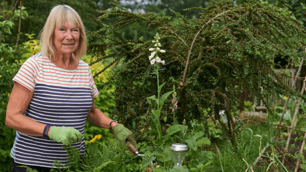 Plantă sezonieră cu efect detoxifiant puternic. 1 Planta sezoniera cu efect detoxifiant puternic