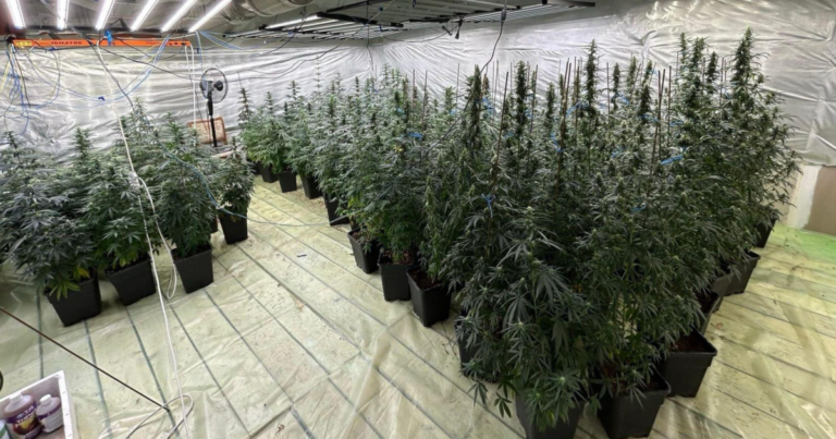 Politist cercetat pentru trafic de droguri in Dambovita