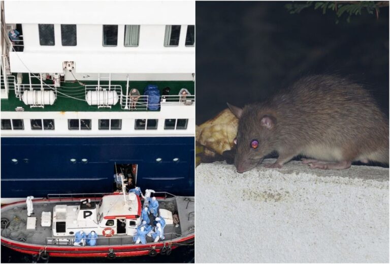 Gestul surprinzator al capitanului navei de croaziera MV Hondius imediat dupa ce focarul de hantavirus a provocat prima victima Nava este in siguranta Videoclipul cu el genereaza controverse