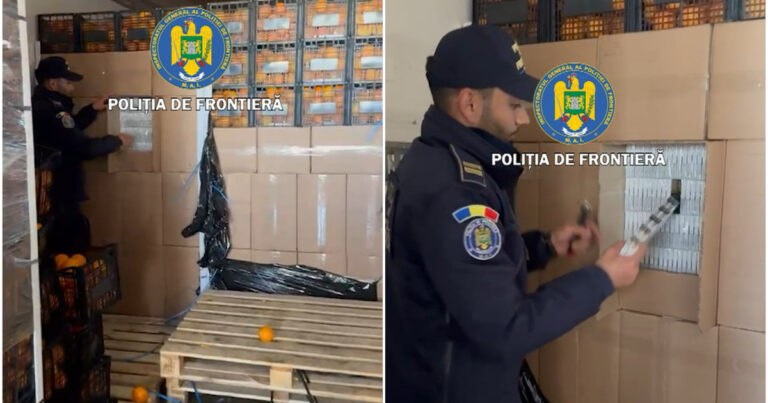 Tigari de contrabanda in valoare de 2 milioane de euro ascunse printre ladite cu portocale Un roman a fost